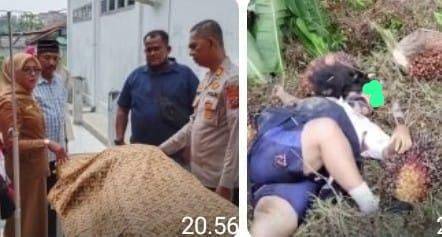 Truck Angkut Sawit Terguling, Buah Menimpa Pelajar, 1 Korban Meninggal Dunia 2 Luka - Luka