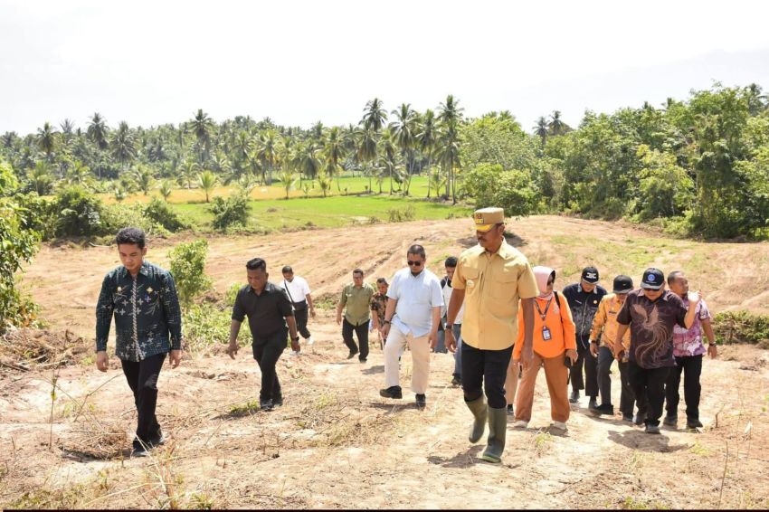 Pisang Sitabar Comeback! Bupati Saipullah Siapkan Kebun Percontohan dan Bibit Unggul untuk Petani