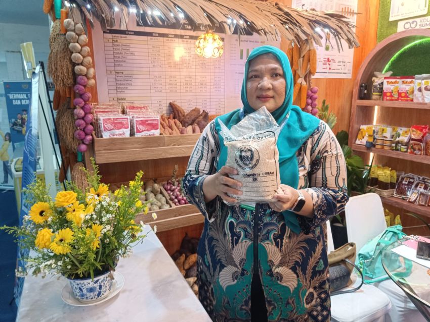 Sertifikasi Benih Dongkrak Nilai Jual Hasil Pertanian, Petani Sumut Diajak Daftar ke UPTD SBTPH