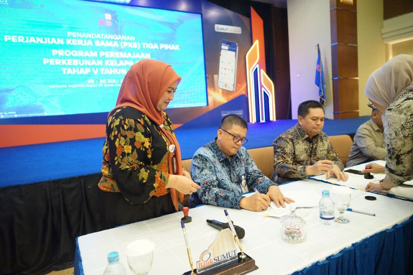 Bank Sumut Buka Akses Dana PSR Rp44,5 Miliar untuk Pekebun Sawit Sumatera Utara
