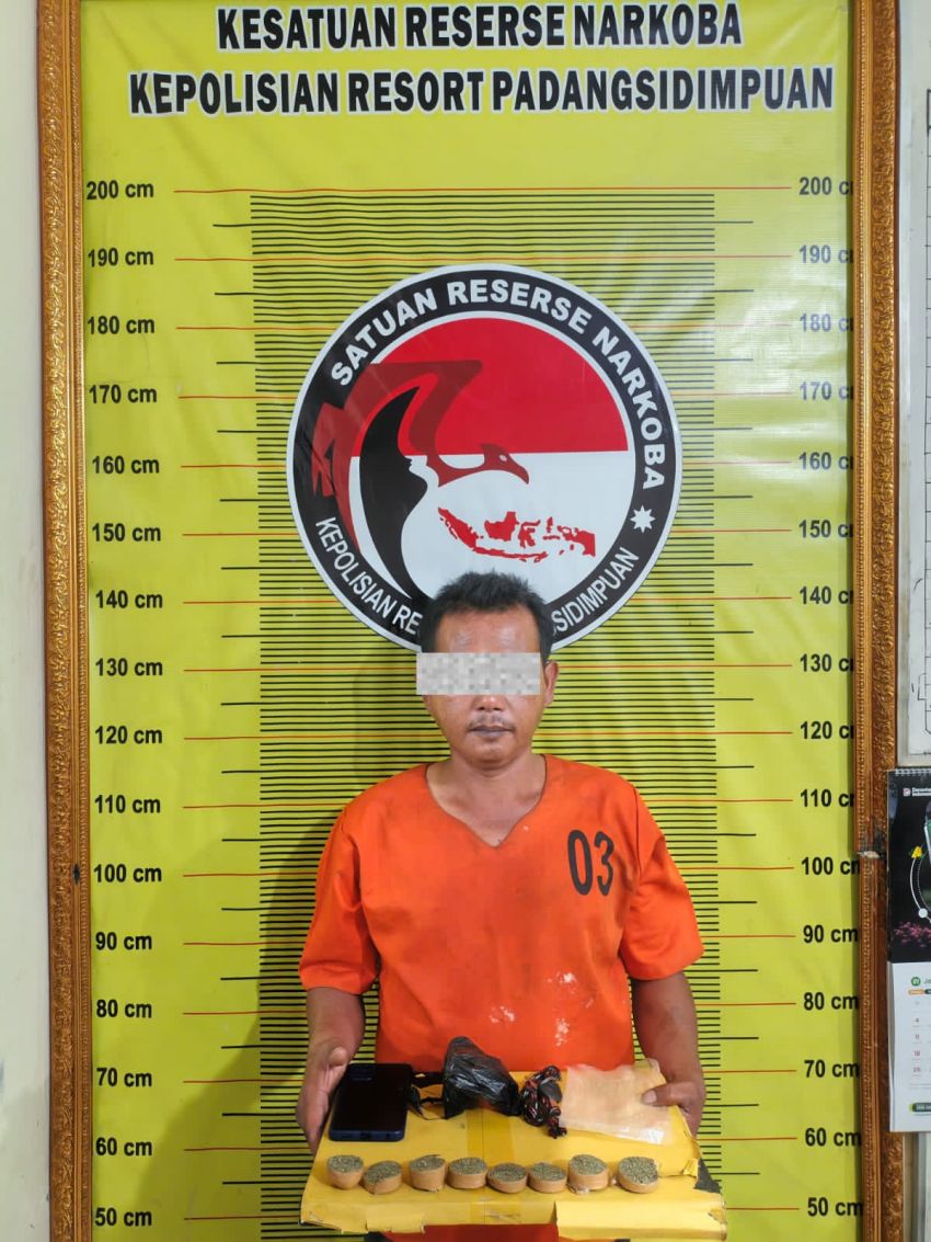 Satresnarkoba Polres Padangsidimpuan Kembali Bergerak, 8 Potongan Ganja Disita dari Pria 47 Tahun