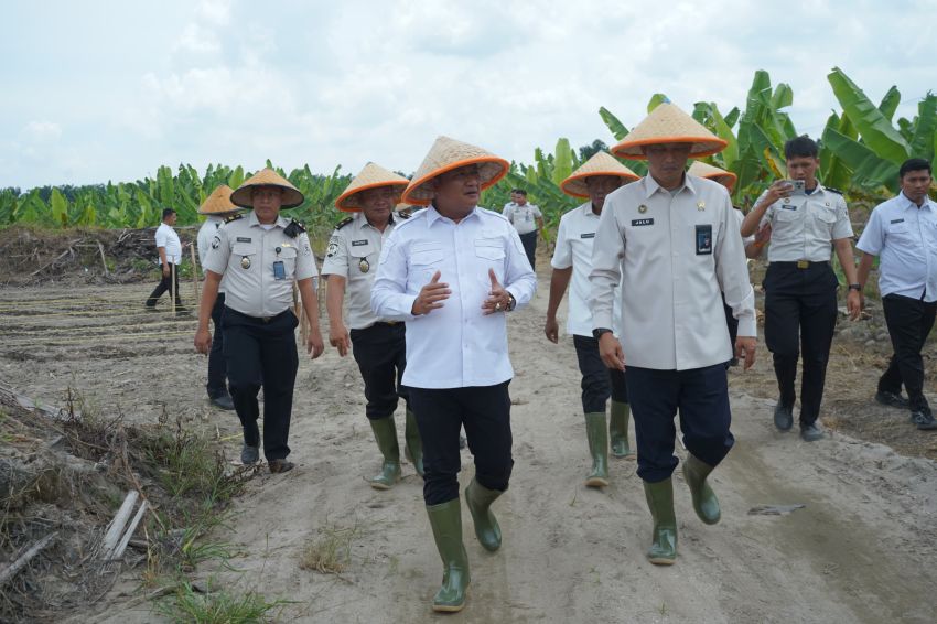 Manfaatkan Lahan Eks HGU Sebelum Dibangun Lapas, Wakil Bupati Asahan Dukung Penanaman Jagung untuk Ketahanan Pangan dan Bekal Hidup Warga Binaan