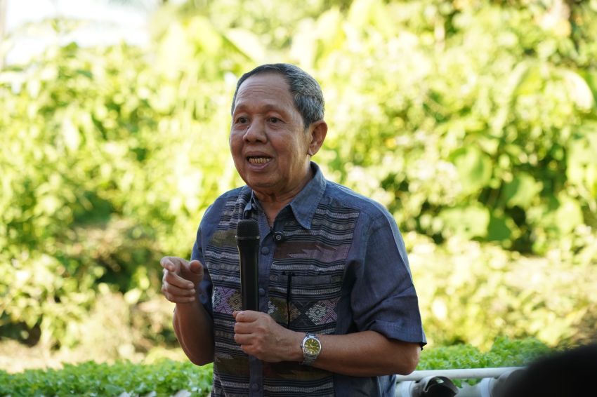 Lahan Tidur 6 Hektare Disulap Jadi Kebun Hidroponik, Wabup Basri Bidik Paluta Jadi Pemasok MBG
