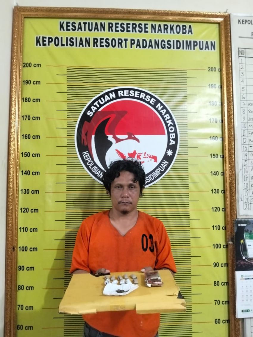 Pria 41 Tahun Tak Jerah Ditangkap Polres Padangsidimpuan di Sitamiang, Temukan 11 Bungkus Diduga Ganja
