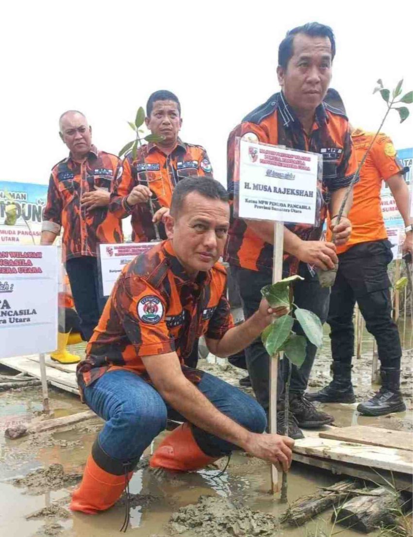 Penanaman Tanaman Pohon Pelindung MPW PP Sumatera Utara, Ijeck Ajak Jaga Lingkungan dan Perkuat Kader dengan Pelatihan SAR