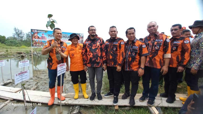 Penanaman Tanaman Pohon Pelindung MPW PP Sumatera Utara, Ijeck Ajak Jaga Lingkungan dan Perkuat Kader dengan Pelatihan SAR