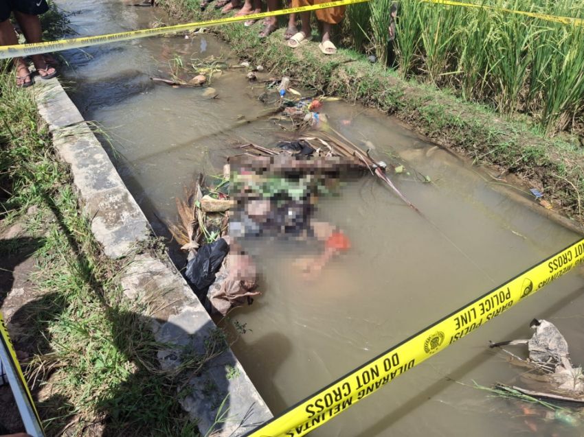 Petani 48 Tahun di Tapsel Tewas di Saluran Sawah, Sebelumnya Sempat Muntah Usai Makan Kacang