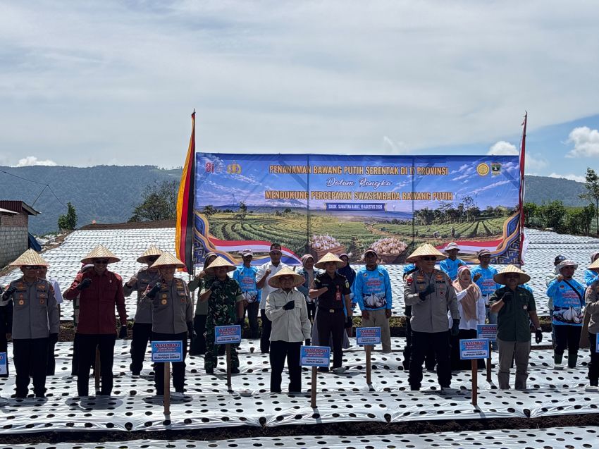 Penanaman Bawang Putih Serentak Nasional Digelar di Kabupaten Solok
