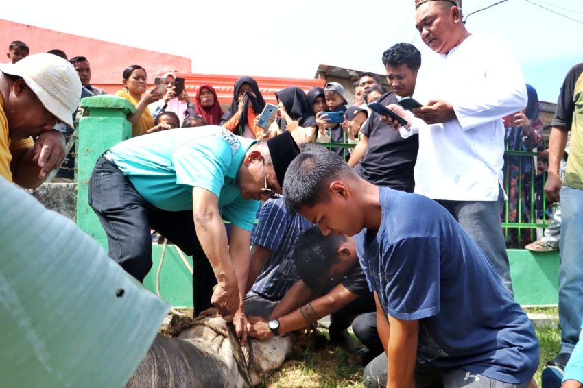 Hari Raya Idul Adha 1447 H di Kabupaten Simalungun: Suasana Syahdu, Bupati Sembelih Langsung Hewan Qurban*