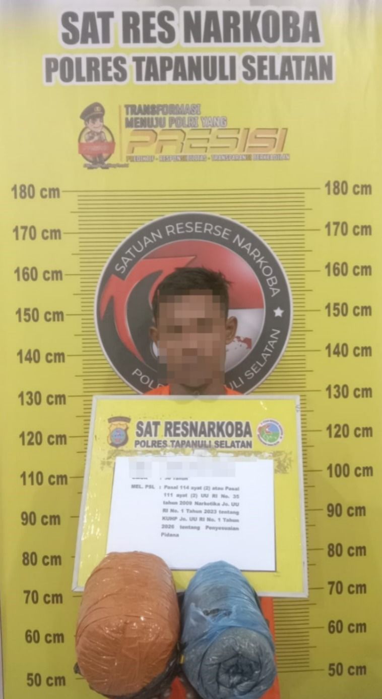 Ganja 2 Kg Hendak Diedarkan di Batang Angkola, AST Diamankan Polres Tapsel