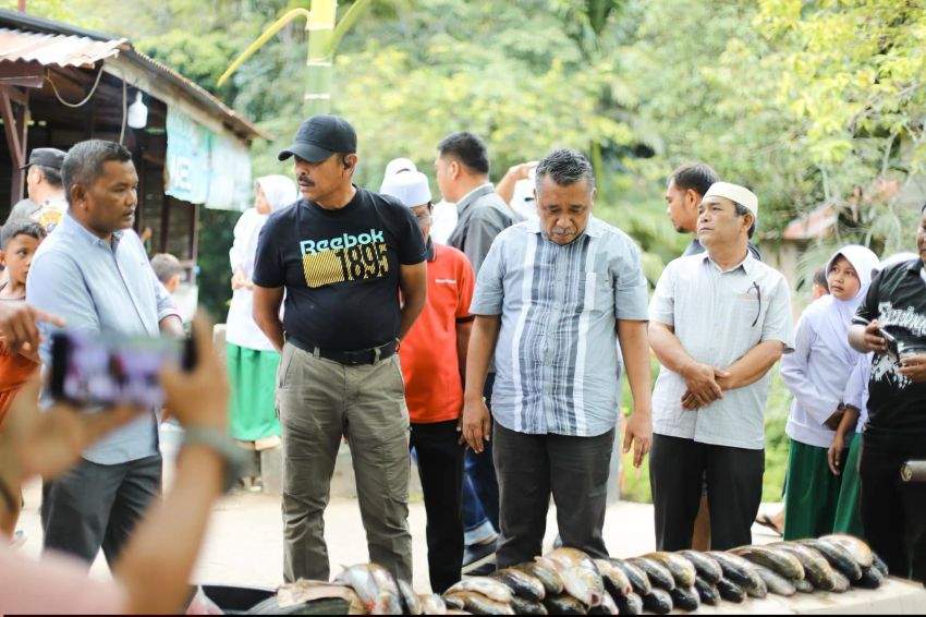 Ratusan Ikan Jurung Bergelimpangan di Tambangan Jae, Bupati Madina Saipullah Akan Siapkan Bendung