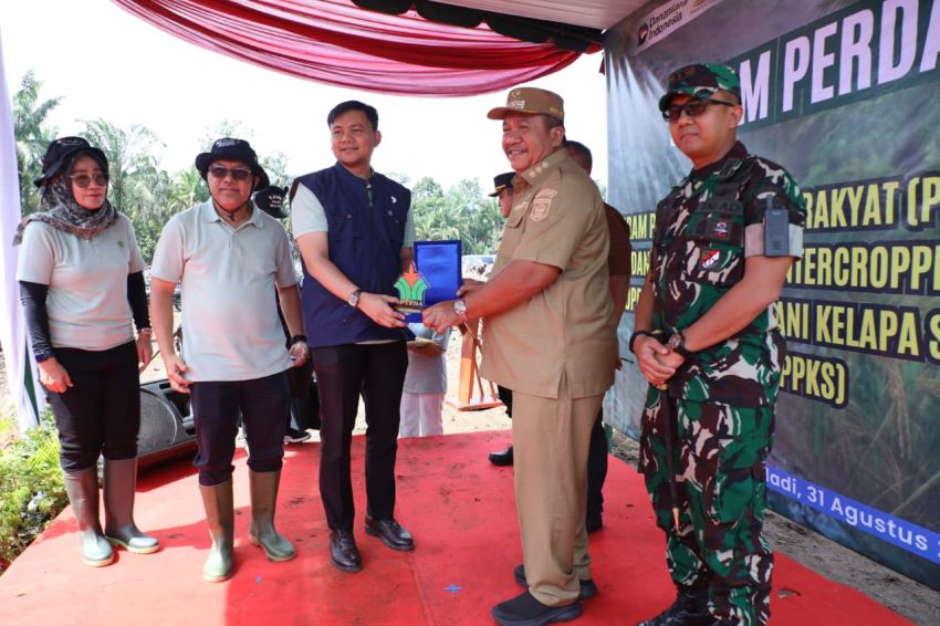 Bupati Asahan Lakukan Tanam Perdana PSR Kemitraan dan Intercropping Padi Gogo, Langkah Strategis Tingkatkan Ekonomi Petani dan Ketahanan Pangan