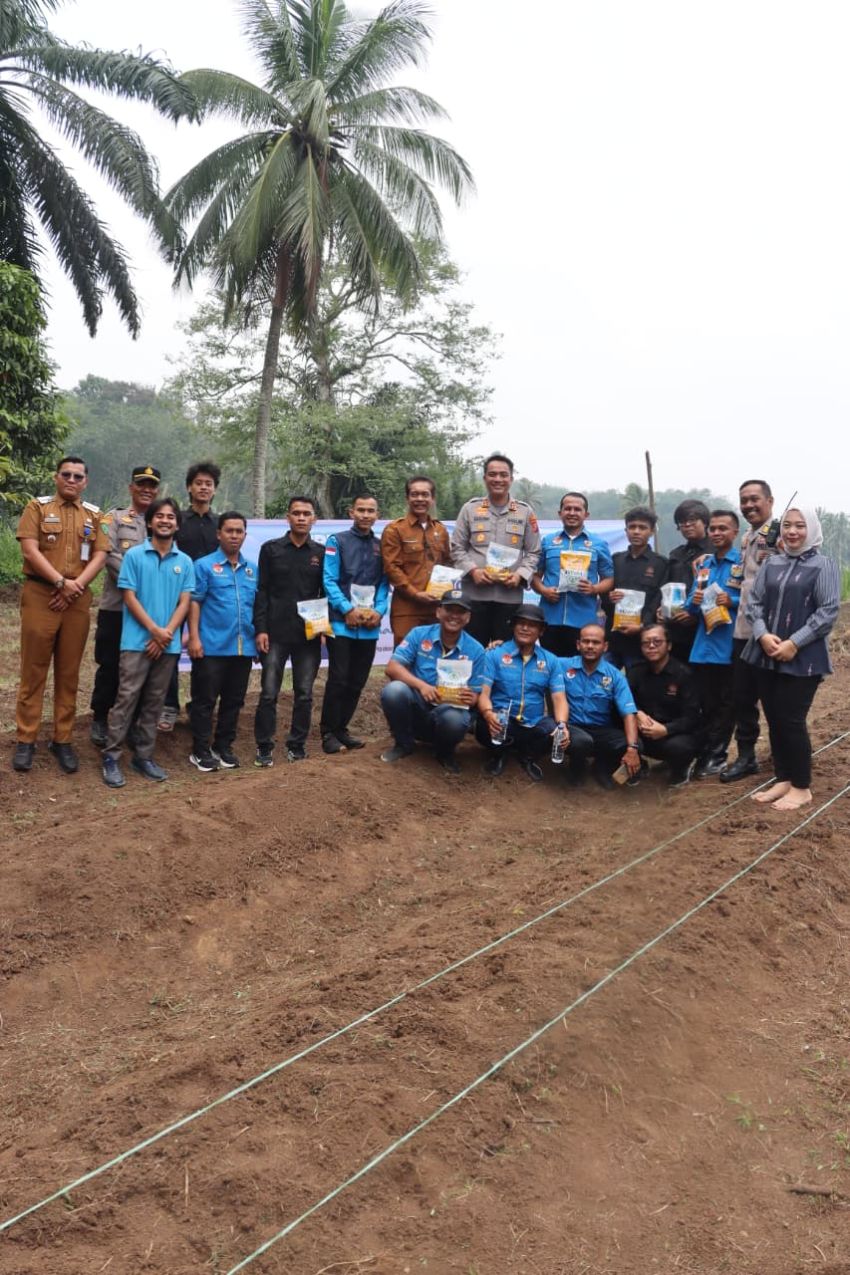 Turun ke Lahan Pertanian, Kapolres Padangsidimpuan AKBP Noval Desky Tanam Jagung Bersama KNPI dan Pemuda Tani