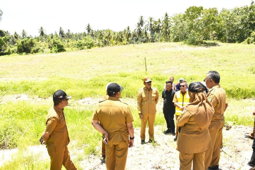 Bupati Saipullah Nasution Hidupkan Kembali Pisang Kepok Madina, 5 Hektare Lahan Mulai Digarap