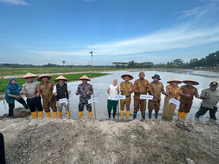 Dukung Ketahanan Pangan, Wali Kota Mahyaruddin Tanam Padi Perdana di Sei Raja