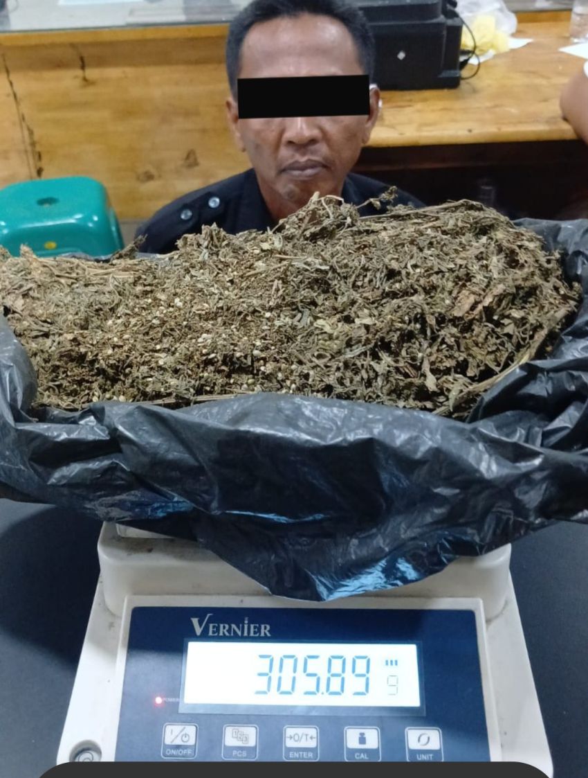Edarkan Narkoba Polrestabes Medan Ciduk Oknum Scurity & 3 Ons Ganja di Sita.