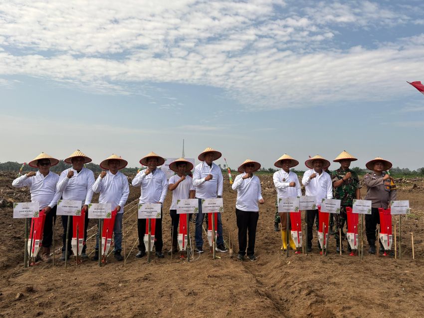1000 Ha Tanaman Kedele akan Di Tanam Di lahan PTPN lV Regional ll untuk Program ketahanan Pangan, 40 Ha dilakukan Tanam Perdana di kebun Bah Jambi
