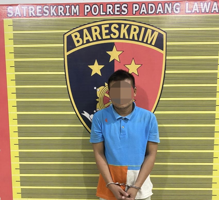 Polres Palas Tangkap SS, Tersangka Dugaan Pencurian Sawit PT Barapala yang Hampir Setahun Buron