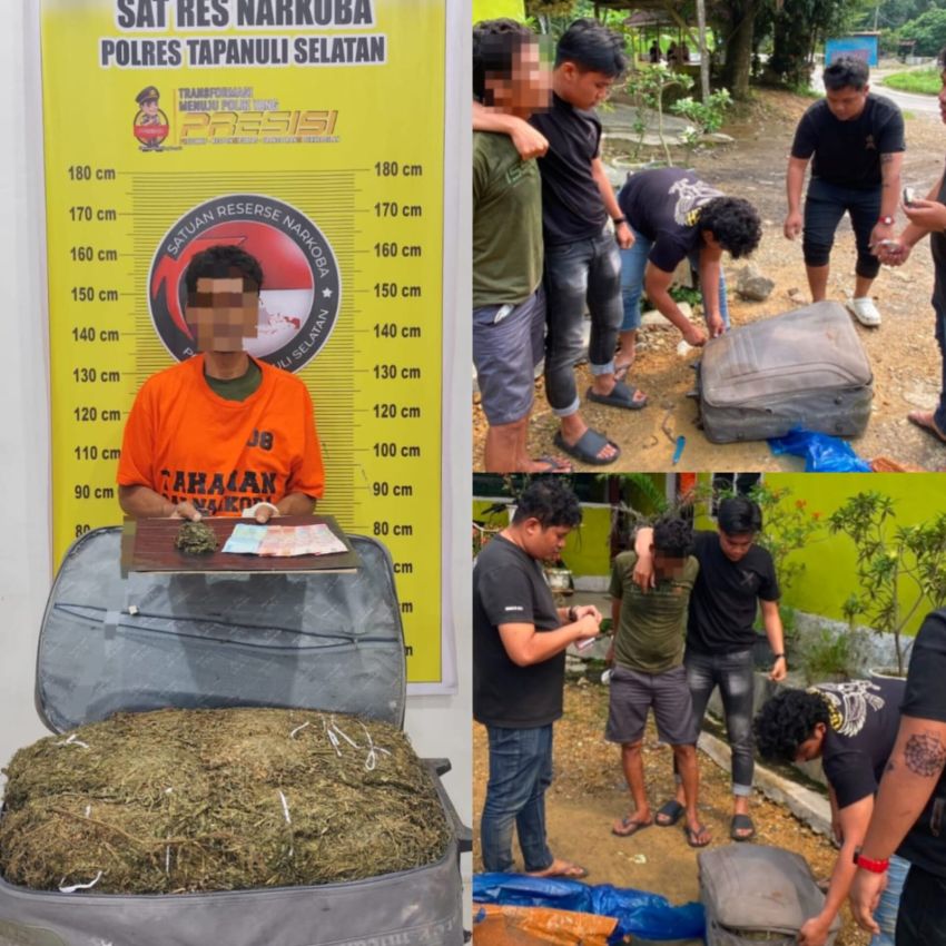 Koper Berbalut Plastik Biru Berisi 15 Kg Ganja, Satnarkoba Polres Tapsel Amankan Pria 49 Tahun