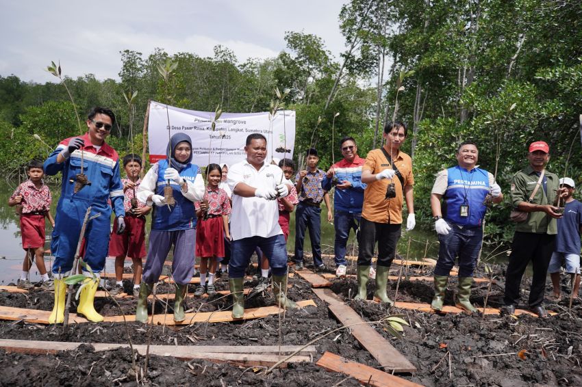 Gerilya Sang Pejuang Alam: Menjaga Mangrove dan Operasional Pertamina EP Pangkalan Susu