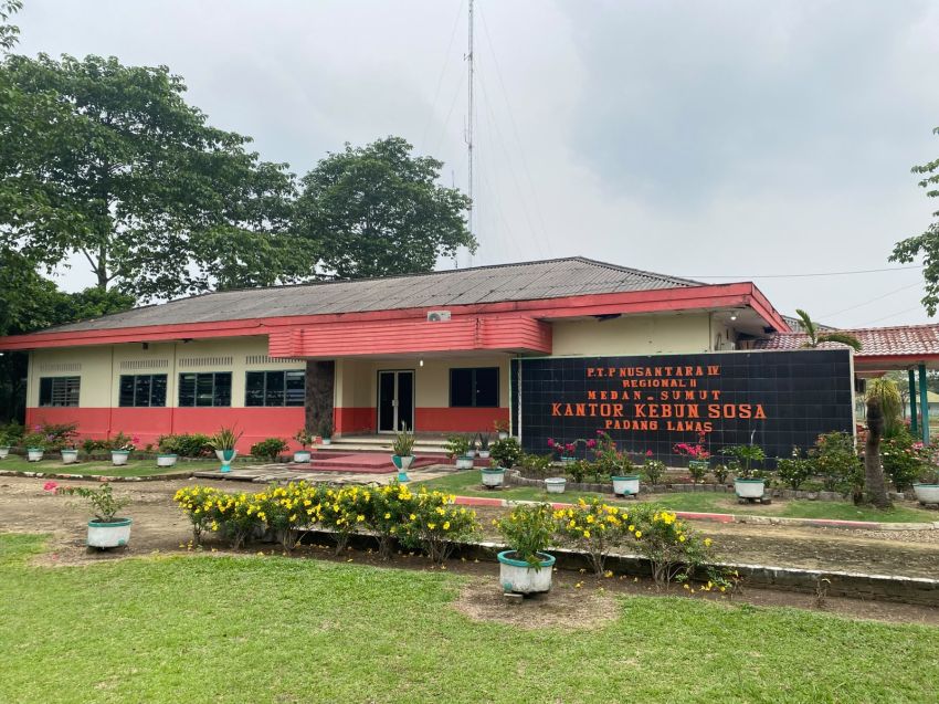 PTPN IV Regional 2 Tegaskan, 65 Hektare Lahan Kebun Sosa Sah Masuk HGU Hingga 2043