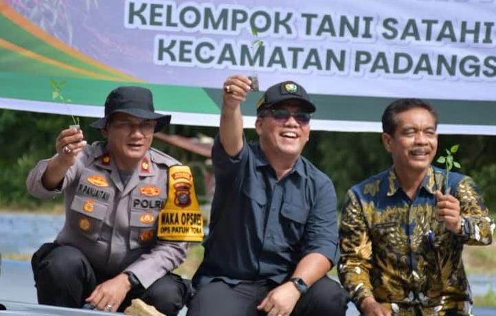 Bidik Panen Saat Ramadan, Pemko Padangsidimpuan Perkuat Produksi Cabai Lokal