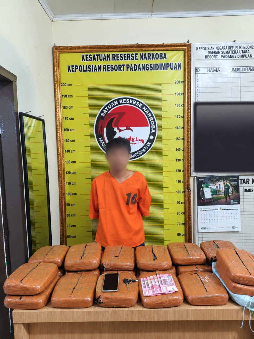 Kurir Ganja 20 Kg Dibekuk Polres Padangsidimpuan, Upah Dijanjikan Rp1,8 Juta